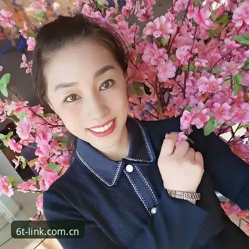 资深用户分享:世界杯观赛受阻背后的签证困局——“冷场”赛事下的6t体育平台观赛心得